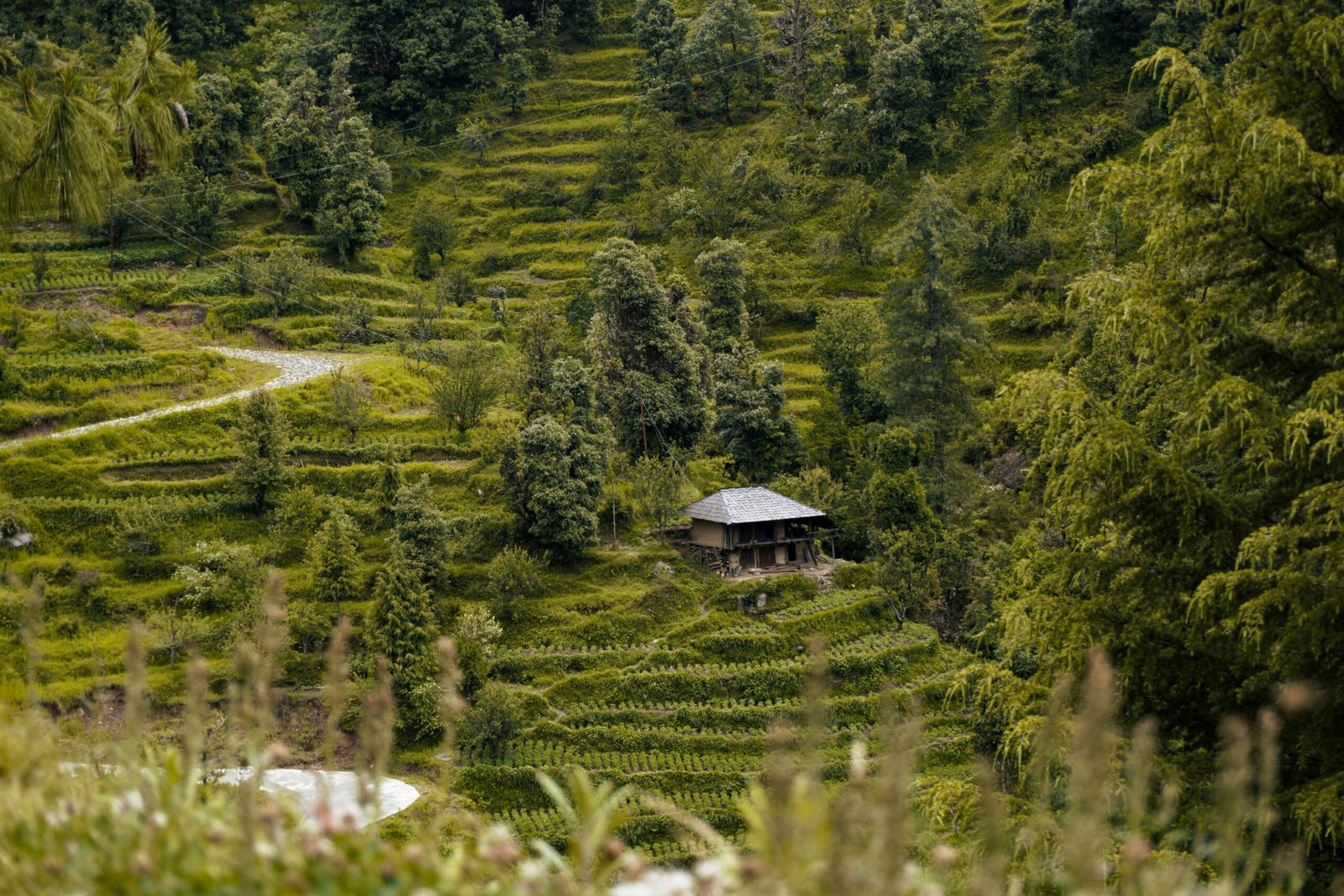 Barot Valley