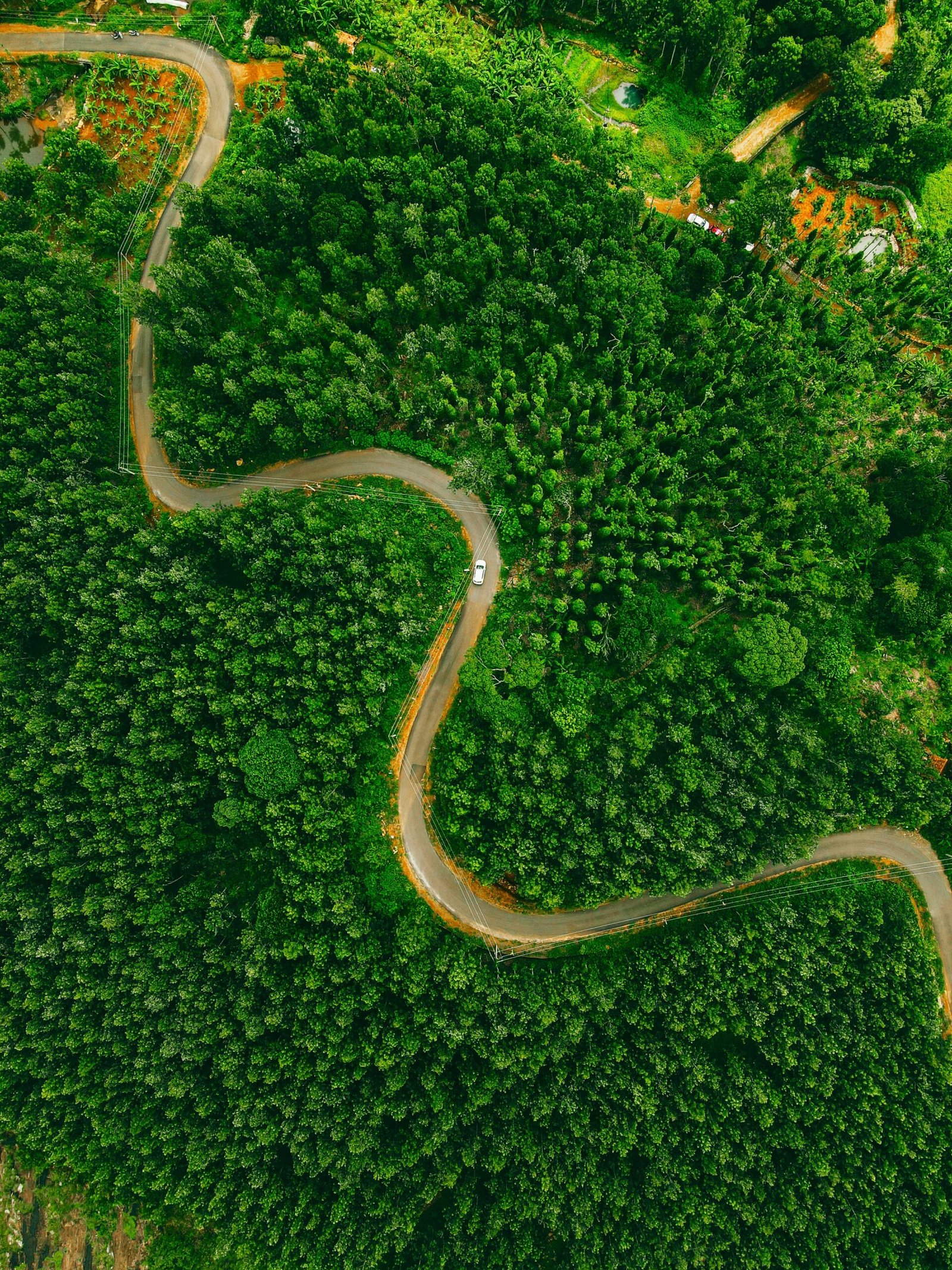 Kolli Hills Road