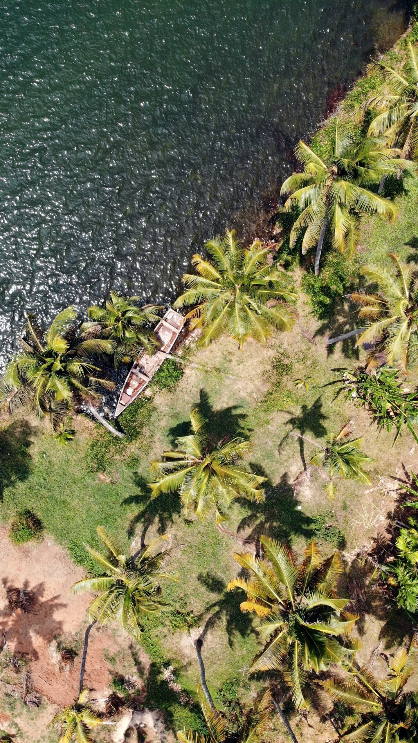 Back Waters Of Kerala