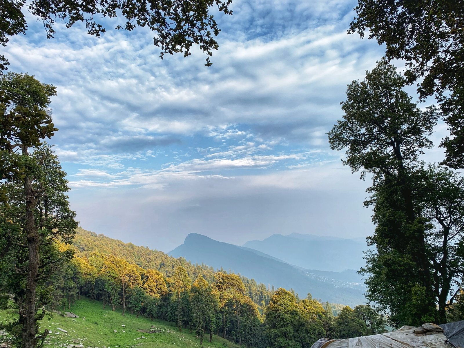 Jalori Pass