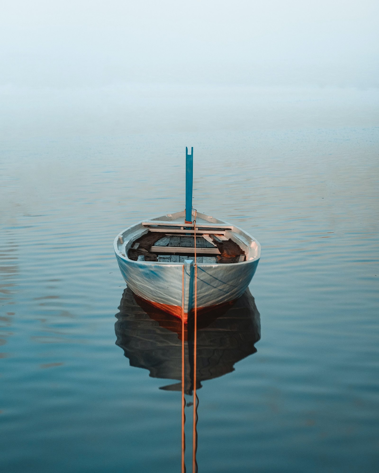 Glass-Bottom Boat Tours